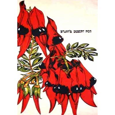 Sturt's Desert Pea Tea Towel